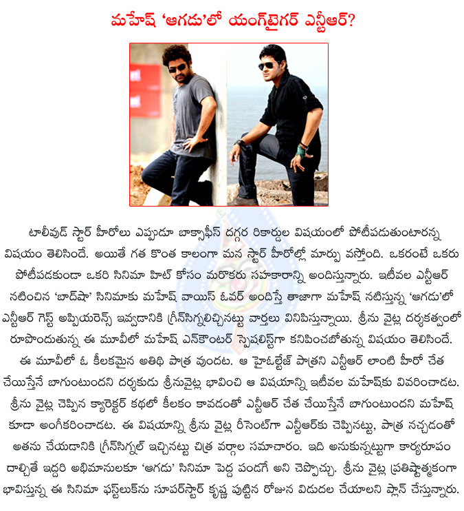 ntr,mahesh babu,jrntr in mahesh babu's aagadu,ntr in aagadu movie,ntr special appearance in aagadu,special guest appearance in aagadu,srinu vaitla,aagadu,14 reels entertainment,tamanna,ntr rabhasa,mahesh ntr team up,baadshah,  ntr, mahesh babu, jrntr in mahesh babu's aagadu, ntr in aagadu movie, ntr special appearance in aagadu, special guest appearance in aagadu, srinu vaitla, aagadu, 14 reels entertainment, tamanna, ntr rabhasa, mahesh ntr team up, baadshah, 